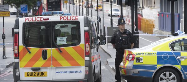 Полиция в Лондоне - Sputnik Беларусь