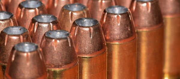 Патроны, архивное фото - Sputnik Беларусь