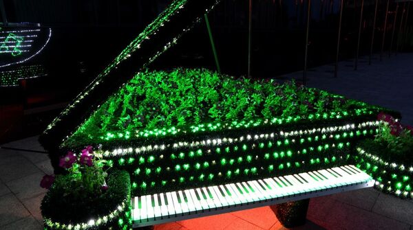 Клумба-рояль в Гомеле - Sputnik Беларусь