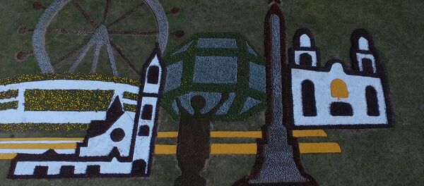 Відэафакт: увесь Мінск - на адной клумбе - Sputnik Беларусь