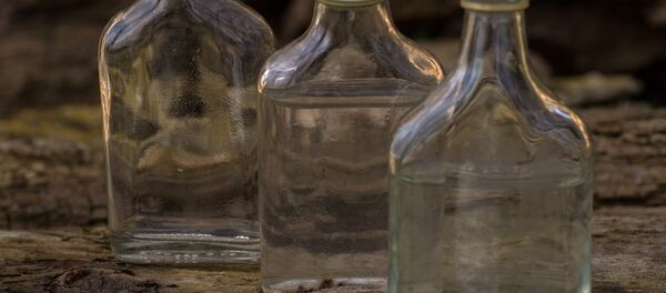 Бутылки от водки - Sputnik Беларусь