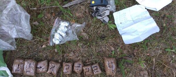 Обнаруженные у задержанных наркотики - Sputnik Беларусь