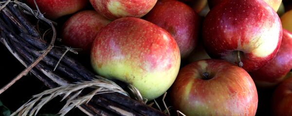 Яблоки Яблоки - Sputnik Беларусь
