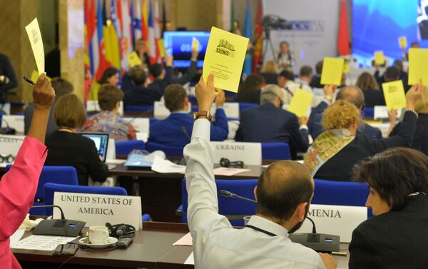 За резолюции голосовали поднятием разноцветных листов с названиями документов. - Sputnik Беларусь