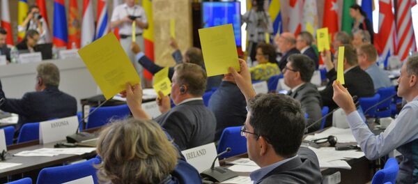 Голосование во время сессии ПА ОБСЕ в Минске - Sputnik Беларусь
