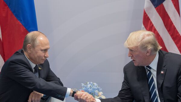 Президент РФ В. Путин принимает участие в саммите Группы двадцати в Гамбурге - Sputnik Беларусь