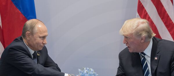 Президент РФ В. Путин принимает участие в саммите Группы двадцати в Гамбурге - Sputnik Беларусь