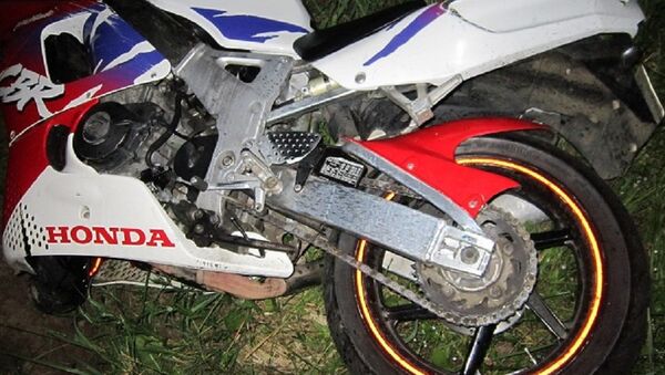 Мотоцикл сбил лося в Могилевском районе - Sputnik Беларусь