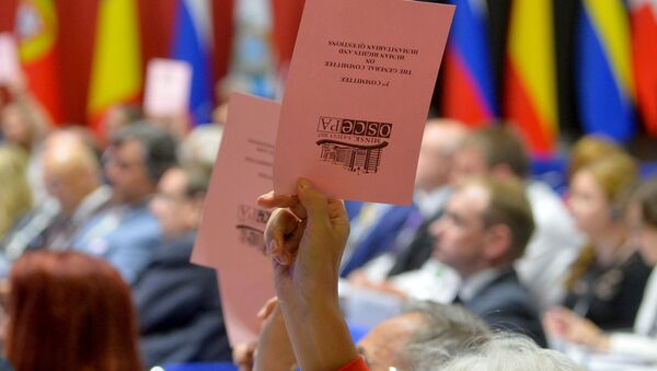 Голосование на сессии ПА ОБСЕ в Минске - Sputnik Беларусь
