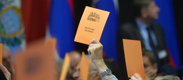 Голосование на сессии ПА ОБСЕ в Минске - Sputnik Беларусь