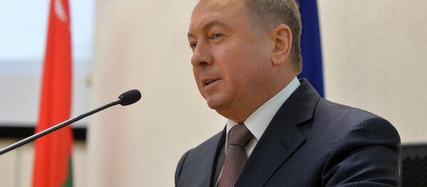 Уладзімір Макей на семінары МЗС - Sputnik Беларусь