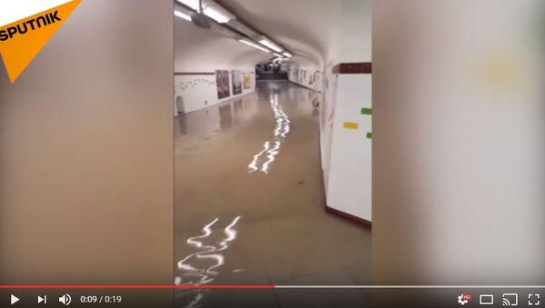Затопленная станция метров в Париже, видео - Sputnik Беларусь