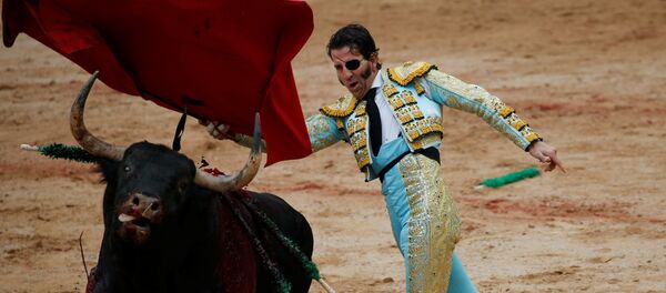 Коррида Коррида - Sputnik Беларусь