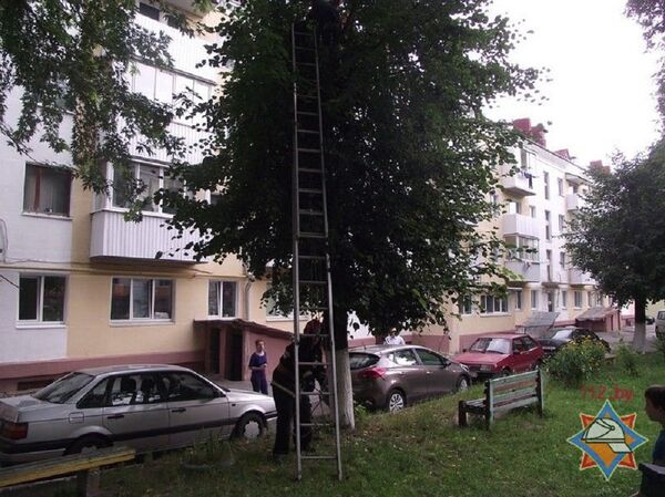 Спасатели помогли мальчику спуститься на землю - Sputnik Беларусь