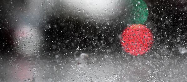 Дождь - Sputnik Беларусь