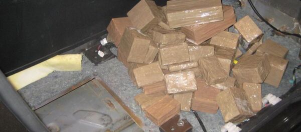 Задержанный гашиш - Sputnik Беларусь