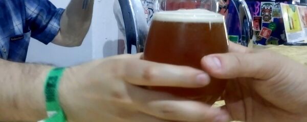 Минский фестиваль крафтового пива - Sputnik Беларусь