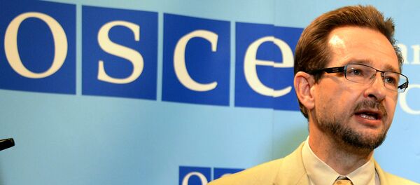 Генсек ОБСЕ Томас Гремингер, архивное фото Генсек ОБСЕ Томас Гремингер, архивное фото - Sputnik Беларусь