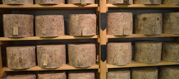 Сыр чеддер, архивное фото Сыр чеддер, архивное фото - Sputnik Беларусь