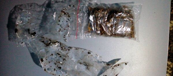 Обнаруженные спайсы Обнаруженные спайсы - Sputnik Беларусь