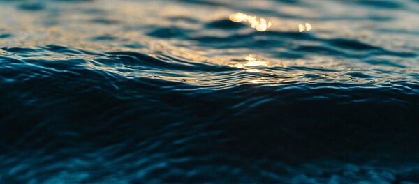 Водоем Водоем - Sputnik Беларусь