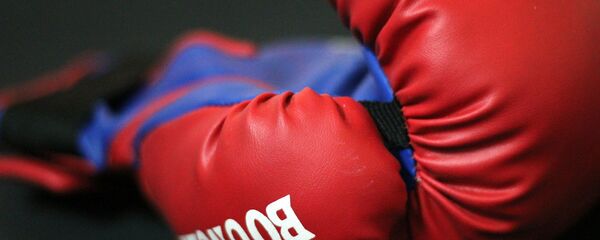 Боксерская перчатка, архивное фото - Sputnik Беларусь