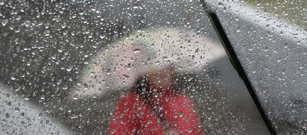 Дождь - Sputnik Беларусь
