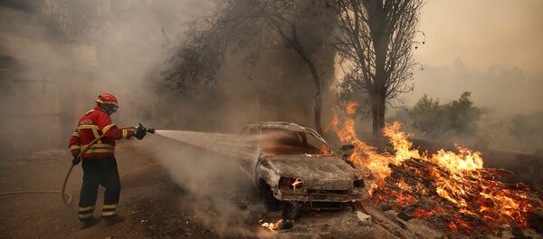 Природные пожары в Португалии - Sputnik Беларусь