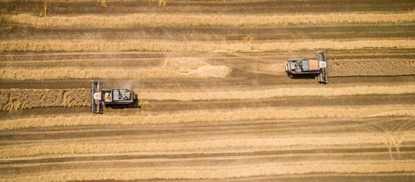 Уборка зерновых, архивное фото - Sputnik Беларусь