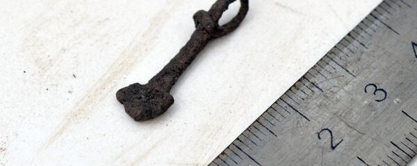 Молоты Тора найдены в Шумилинском районе - Sputnik Беларусь