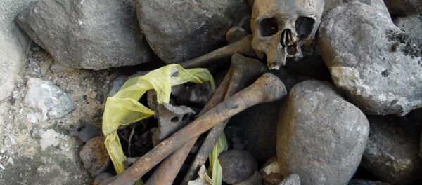 Кости, найденные в Полоцке - Sputnik Беларусь