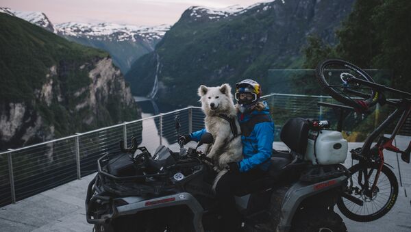 Норвежские фьорды - путешествие с собакой - Sputnik Беларусь