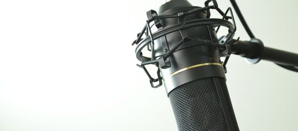 Микрофон, архивное фото - Sputnik Беларусь