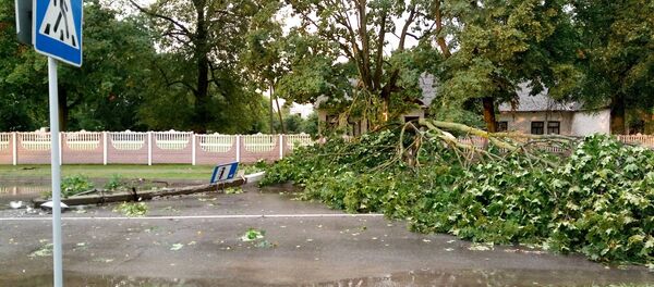 Непогода в Пружанах - Sputnik Беларусь