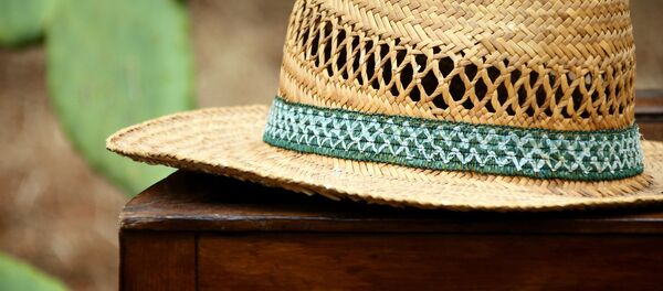 Соломенная шляпа, архивное фото - Sputnik Беларусь