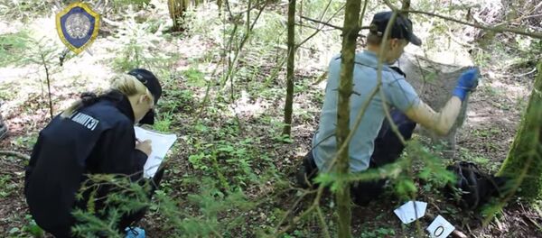 Следователи на месте убийства девочки в Минской области - Sputnik Беларусь