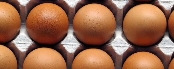 Куриное яйцо, архивное фото - Sputnik Беларусь