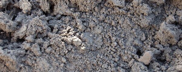 Земля, архивное фото - Sputnik Беларусь