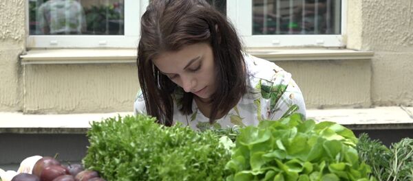 Мінчукі аб'ядналіся, каб сказаць не фастфуду Мінчукі аб'ядналіся, каб сказаць не фастфуду - Sputnik Беларусь