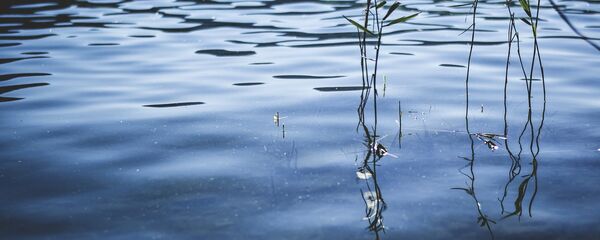 Водоем, архивное фото - Sputnik Беларусь