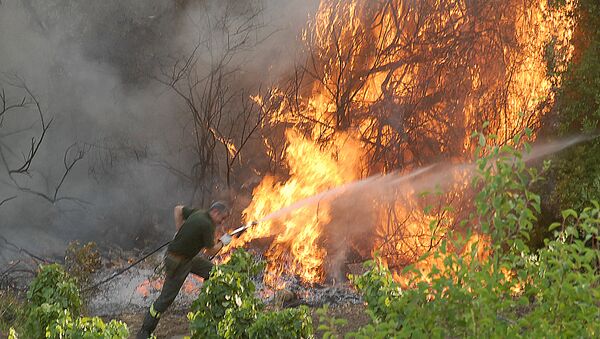 Лесной пожар в Италии, архивное фото - Sputnik Беларусь