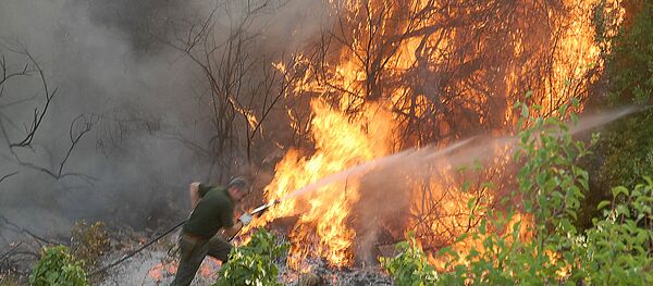 Лесной пожар в Италии, архивное фото - Sputnik Беларусь