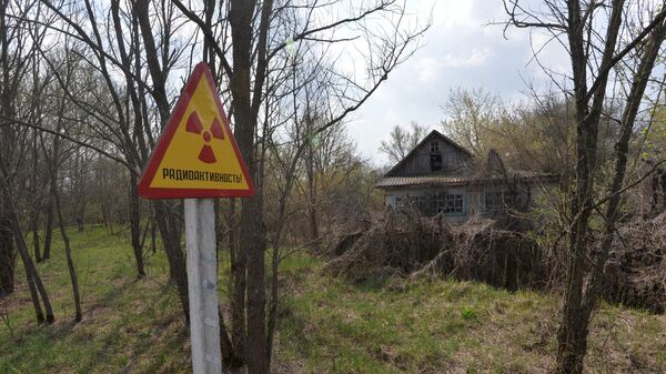 Белорусский сектор зоны отчуждения Чернобыльской АЭС  - Sputnik Беларусь