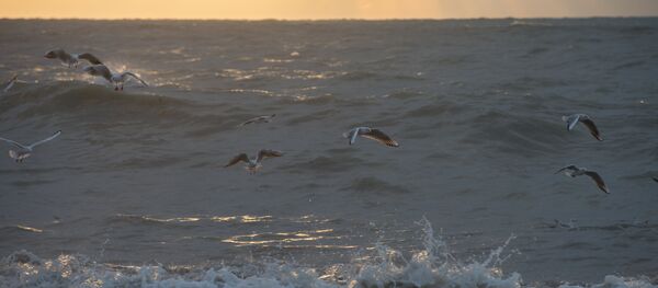 Вид на море, архивное фото Вид на море, архивное фото - Sputnik Беларусь