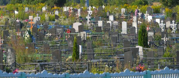 Телентеевское кладбище в Орше, где похоронили мальчика - Sputnik Беларусь