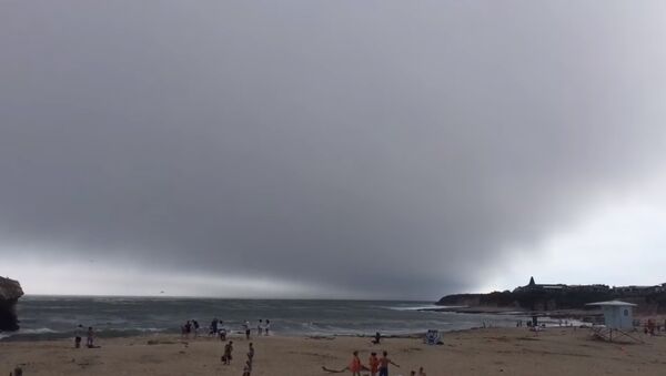 Гигантское облако напугало отдыхающих на пляже в Калифорнии - Sputnik Беларусь