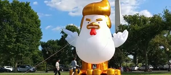 Надувного цыпленка за $1500 с прической Трампа поставили у Белого дома - Sputnik Беларусь