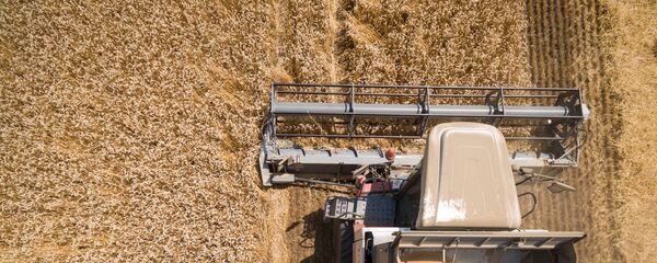 Уборка зерновых, архивное фото Уборка зерновых, архивное фото - Sputnik Беларусь