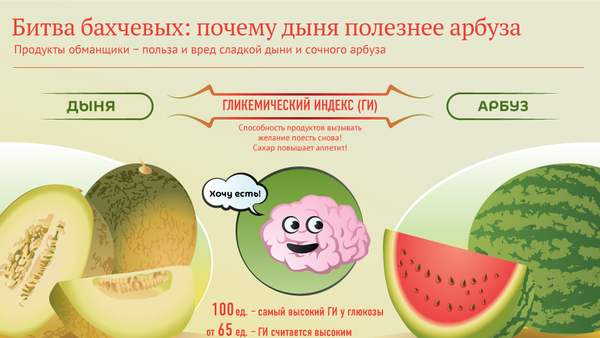 Дыня или арбуз: что полезней? - инфографика на sputnik.by - Sputnik Беларусь
