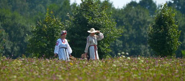 Як працаваць сярпом - у Азярцы прайшло свята ўраджаю Жыцень Як працаваць сярпом - у Азярцы прайшло свята ўраджаю Жыцень - Sputnik Беларусь